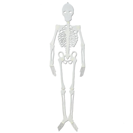Esqueleto Silueta Fosforescente 90 cm - Calaveras y Esqueletos