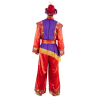 Disfraz de Paje Rojo