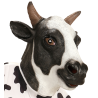 Mascara de Vaca