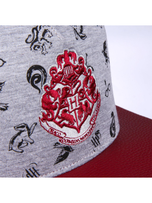 Gorra Harry Potter Visera Plana