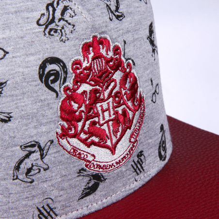 Gorra Harry Potter Visera Plana