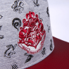 Gorra Harry Potter Visera Plana
