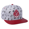 Gorra Harry Potter Visera Plana