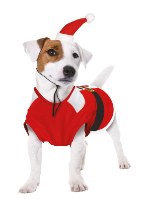 Disfraz de Noel para Perro