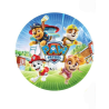 Platos Patrulla Canina 8 Unid