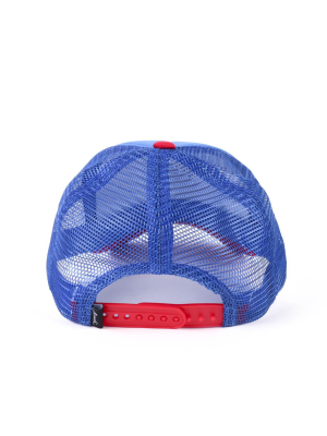 Gorra Sonic Curva Infantil