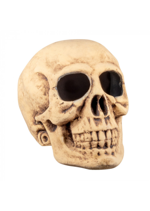 Calavera gigante 35x35x47cm