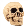 Calavera gigante 35x35x47cm