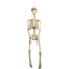 Esqueleto colgante 92cm