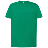 Camiseta Verde Manga Corta Adulto - Camisetas y Polos