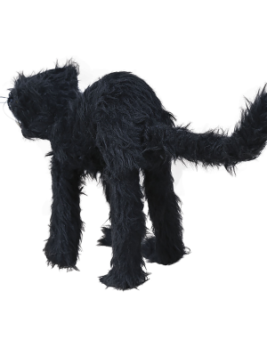 Gato Negro 30 Cm