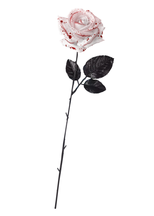 Rosa Blanca con Sangre
