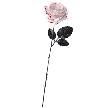 Rosa Blanca con Sangre