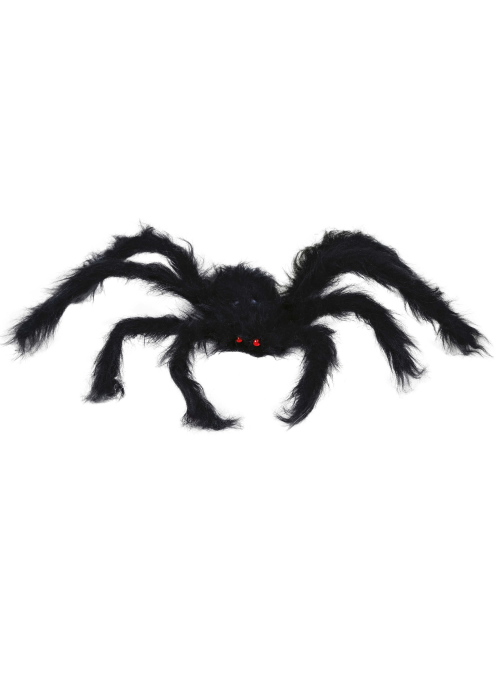 Spider 20x28
