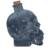 Botella Veneno Vidrio 19 cm
