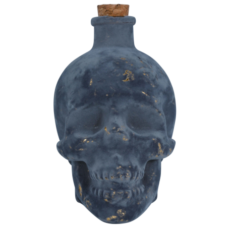 Botella Veneno Vidrio 19 cm
