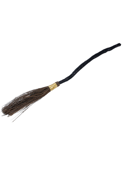 Escoba 100cm Desmontable