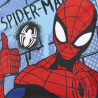 Mochila Spiderman Infantil Trolley
