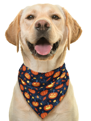 Pañuelo Para Mascotas Calabazas