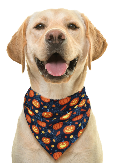 Pañuelo Para Mascotas Calabazas