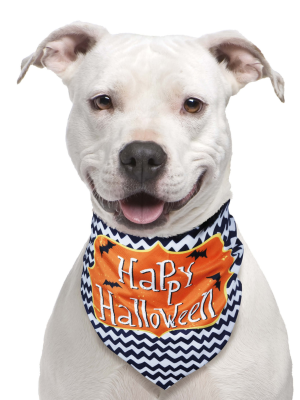 Pañuelo Para Mascotas Happy Halloween