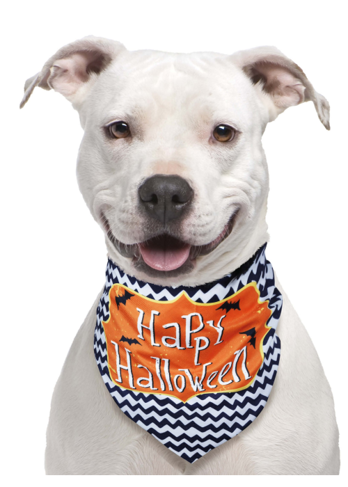 Pañuelo Para Mascotas Happy Halloween
