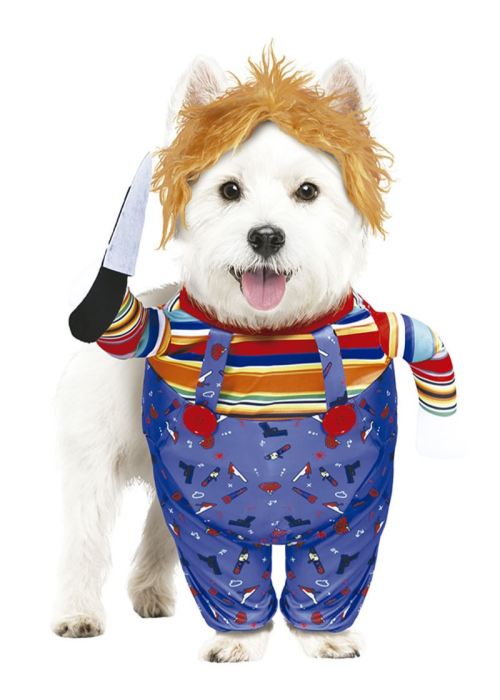 Costume Groom Dog