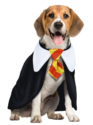 Disfraz de Estudiante de Magia Perro