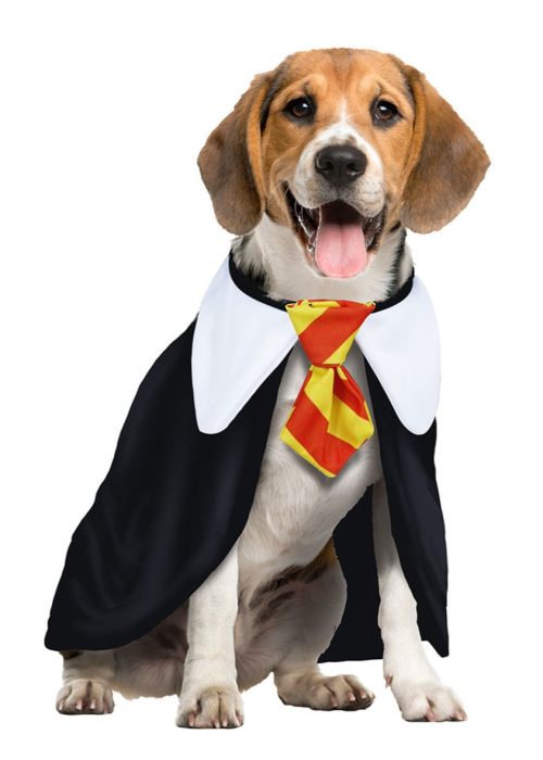Disfraz de Estudiante de Magia Perro