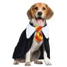 Disfraz de Estudiante de Magia Perro
