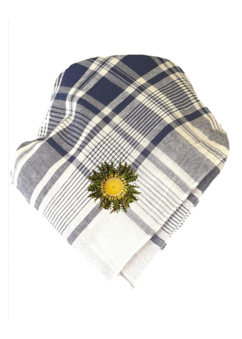 Pañuelo de Eguzkilore Color Pequeño cuadros azul hierbas