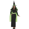 Disfraz de Bruja Capa Verde