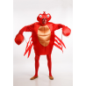 Erosi Mozorro Crab bakarrik 21.00€ – mozorro Denda online