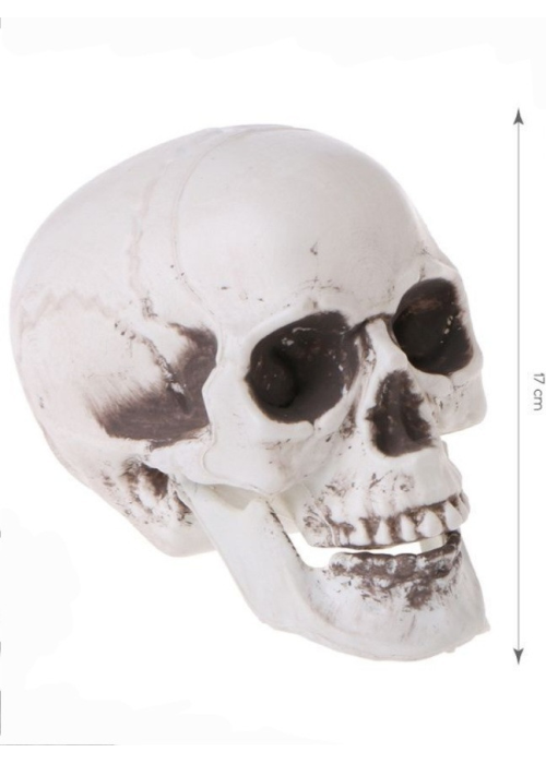 Calavera 20 cms