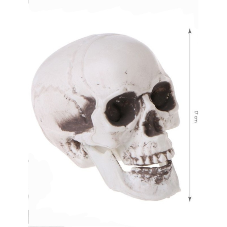 Calavera 20 cms
