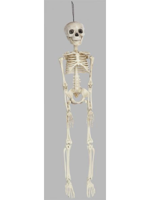 Esqueleto 45 cms