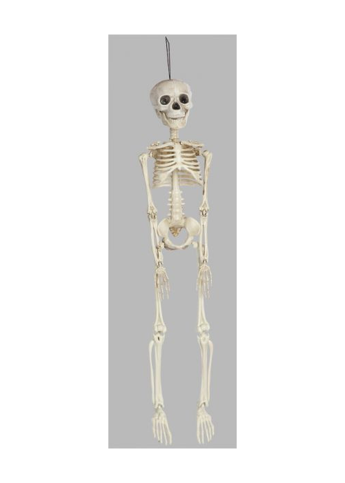 Esqueleto 45 cms