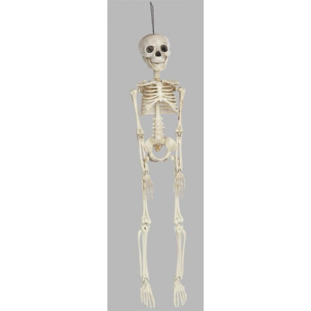 Esqueleto 45 cms