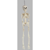 Esqueleto 45 cms