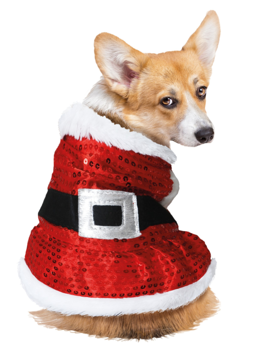 Mozorro santa Claus Txakur