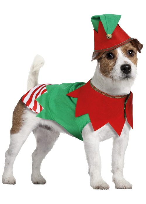 Disfraz de Elfo para Perro