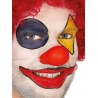 Sudurra bat Clown bat Gomazko