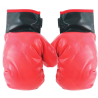 Guantes de Boxeo Infantiles - Guantes