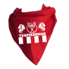 Pañuelo Txapeldunak Leones -  Banderas y Bufandas Athletic 