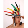 Penacho Indio