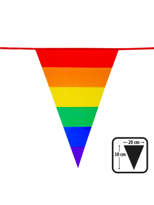 Banderines Arcoiris Triangulares 10m