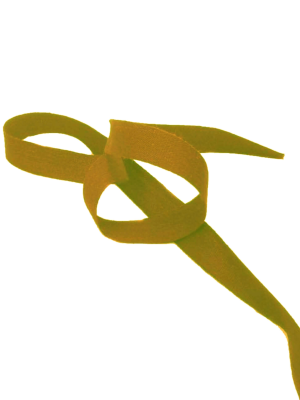 Col·locació de les Cintes