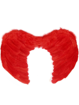Alas de Plumas Rojas 80x60cm