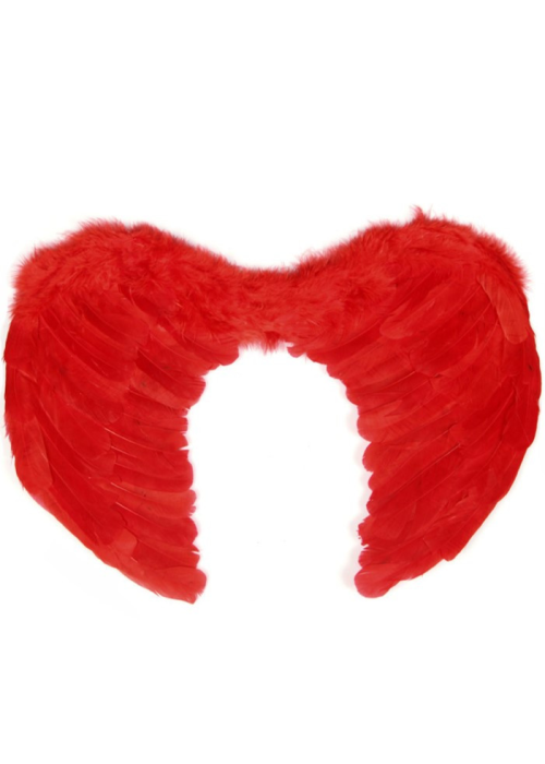 Alas de Plumas Rojas 80x60cm