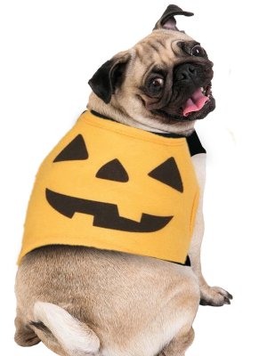 Disfraz de Calabaza para Perros